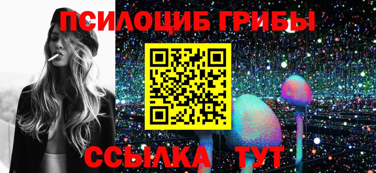 Кизляр  Галлюциногенные грибы ЛСД  Вход с VPN 